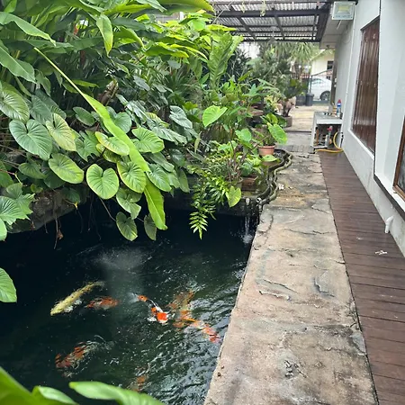 Pj Little Bali Villa Petaling Jaya Exterior photo