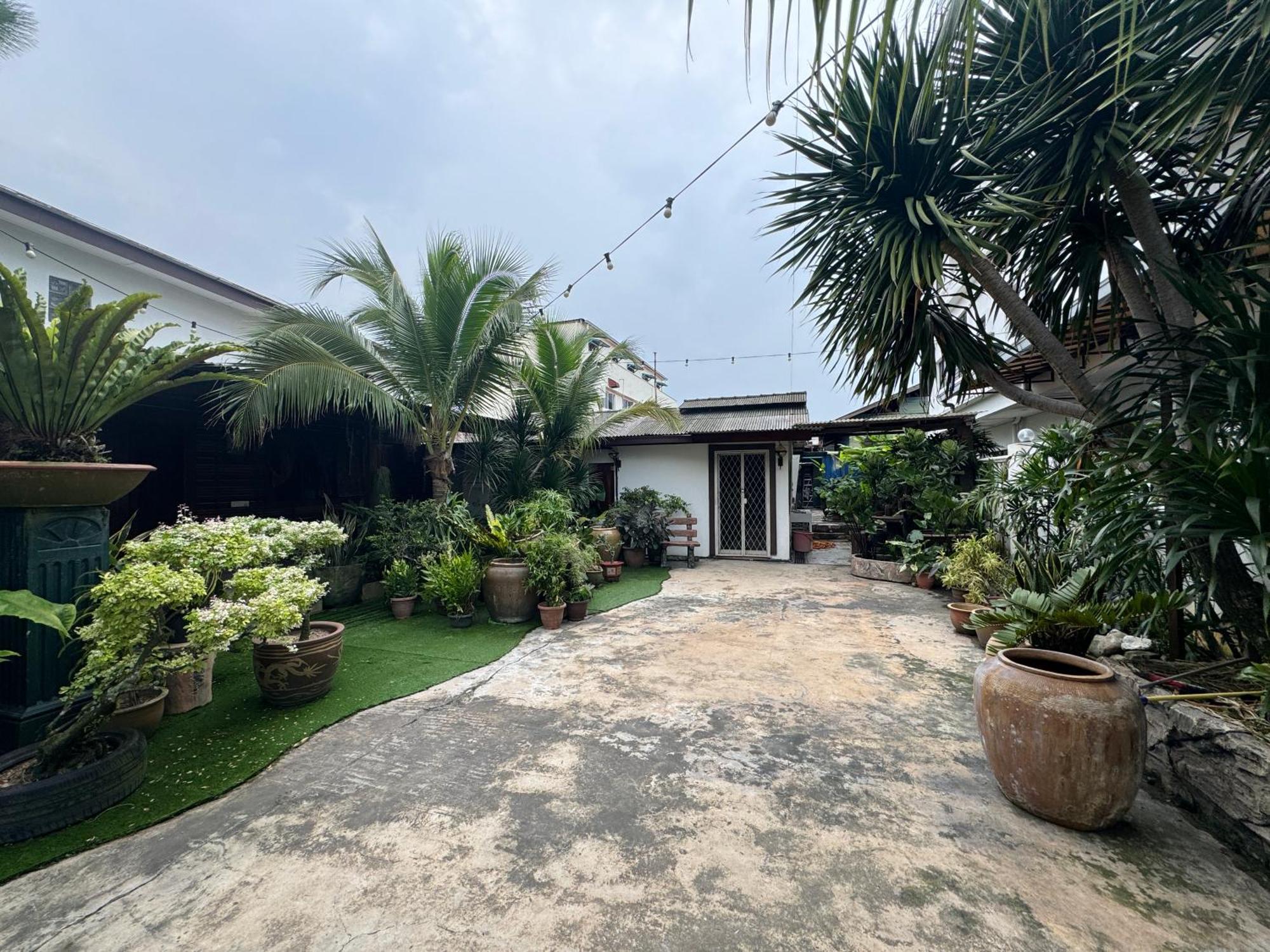 Pj Little Bali